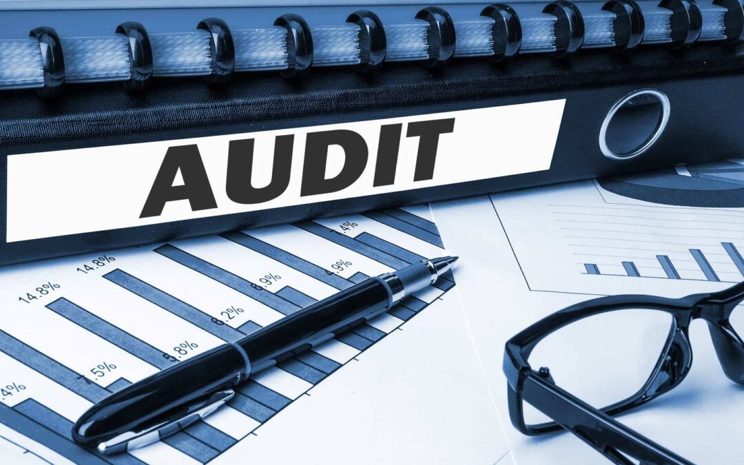 5 Things You Most Likely Didn’t Know About Auditing
